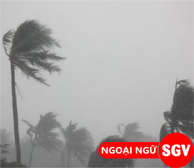 SGV, bão nhiệt đới tiếng Nhật là gì