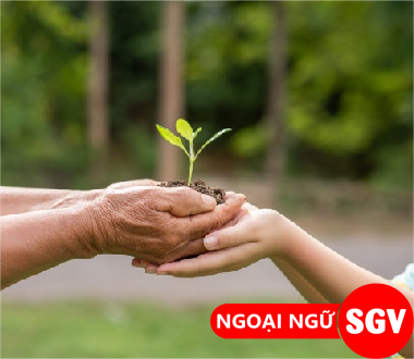 Bảo tồn tiếng Nhật là gì, Sgv