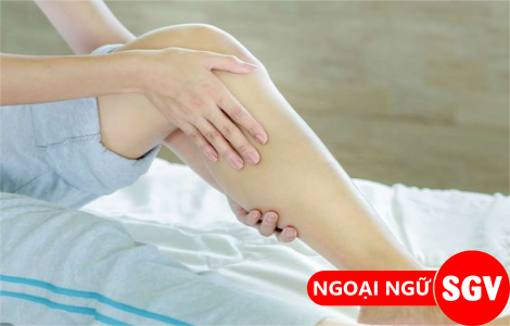 Bắp chân tiếng Anh là gì, SGV