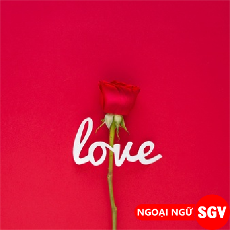 Bắt cá hai tay là gì, ngoại ngữ SGV