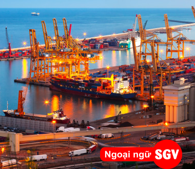 Biểu thuế xuất nhập khẩu tiếng Anh là gì, SGV