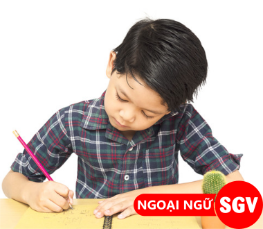 SGV, Các loại chữ tiếng Nhật