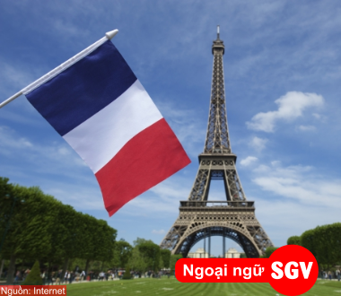 SGV, các ngành nghề tại Pháp