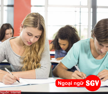 SGV, các ngành nghề thực tập sinh Nhật Bản