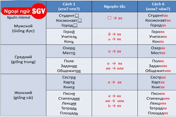 cách biến đổi tính từ theo giống, số, cách trong tiếng Nga là gì
