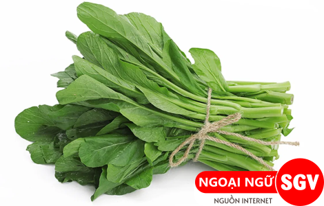 cải ngồng tiếng Trung là gì