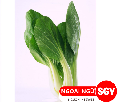 Cái thìa tiếng Anh là gì, ngoại ngữ SGV