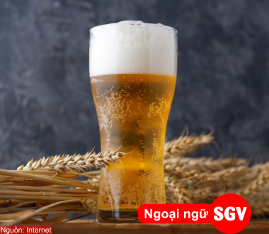 SGV, cạn ly trong tiếng Hàn là gì