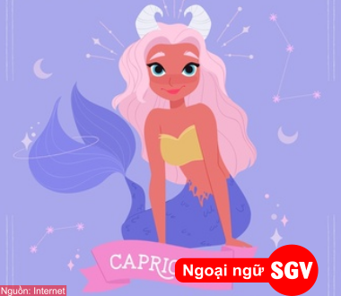 SGV, Capricorn là gì