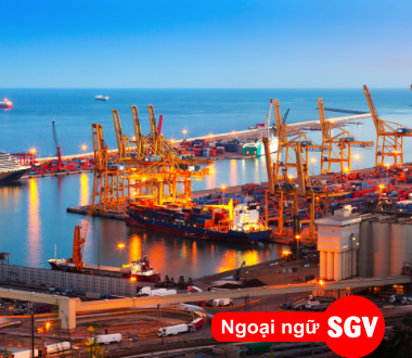 sgv, Carrier là gì trong xuất nhập khẩu