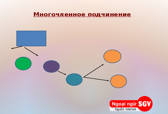 câu phức nhiều mệnh đề trong tiếng nga là gì