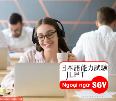 SGV, Cấu trúc đề thi N4