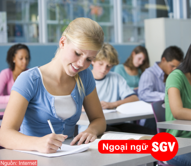 SGV, Cấu trúc đề thi Topik 1