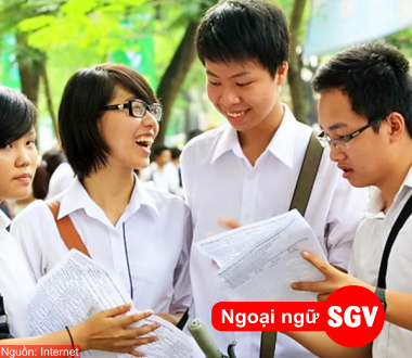 SGV, Cấu trúc đề thi Topik 3