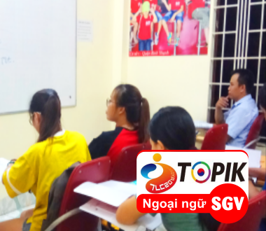 SGV, Cấu trúc đề thi Topik tiếng Hàn