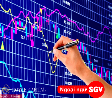 Chỉ số Vn - Index là gì, ngoại ngữ SGV