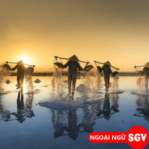 SGV, chịu khó tiếng Anh là gì