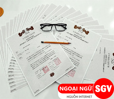 SGV, có bằng N5 tiếng Nhật làm gì