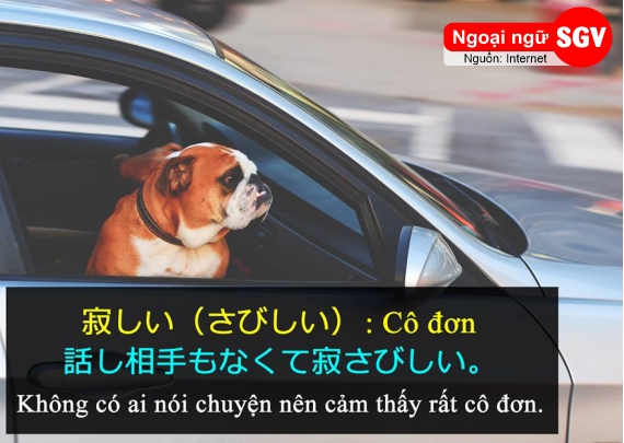 Cô đơn tiếng Nhật là gì