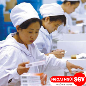 Có nên cho vợ đi nước ngoài XKLĐ, SGV