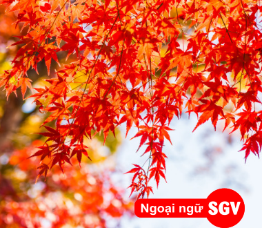 sgv, Có nên du học Canada từ lớp 12