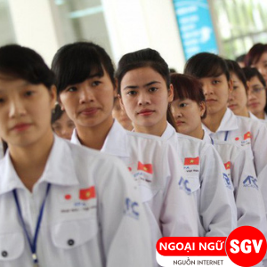 Có nên sang Nhật làm việc, ngoại ngữ SGV