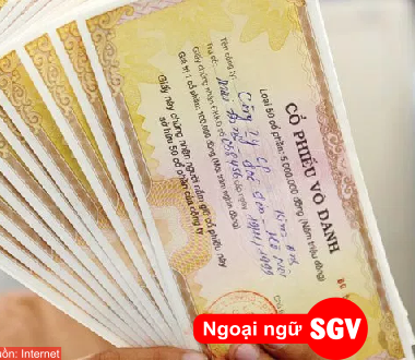 SGV, Cổ phiếu là gì