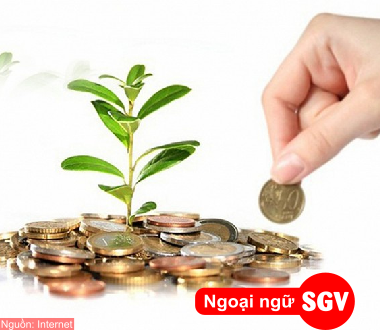 SGV, Cổ tức là gì