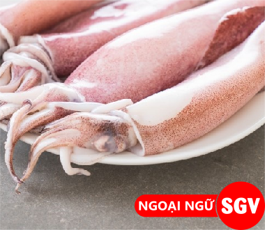 SGV, con mực tiếng Nhật là gì