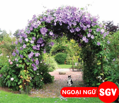 sgv, Cổng hoa tiếng Anh là gì