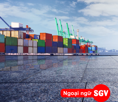 sgv, CTN là gì trong xuất nhập khẩu