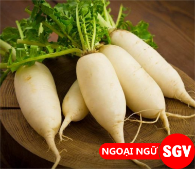 củ cải tiếng Trung là gì, sgv