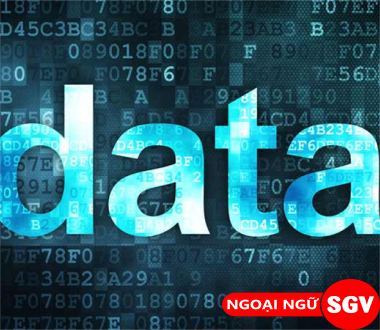 SGV, data tiếng Anh là gì