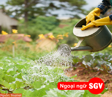 sgv, đi Úc làm nông nghiệp 2020