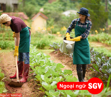 sgv, đi Úc làm nông nghiệp