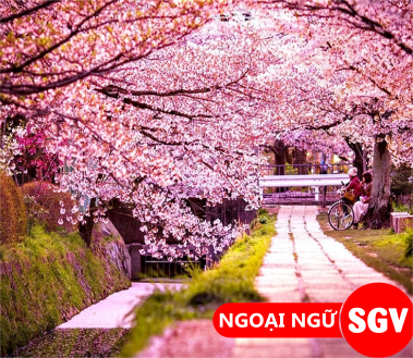 SGV, địa điểm hẹn hò ở Tokyo