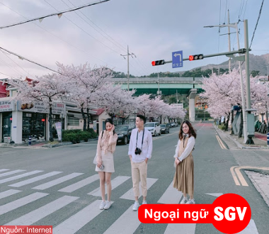 du lịch Hàn Quốc tự túc, ngoại ngữ SGV