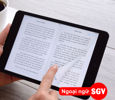 SGV, Ebook là gì