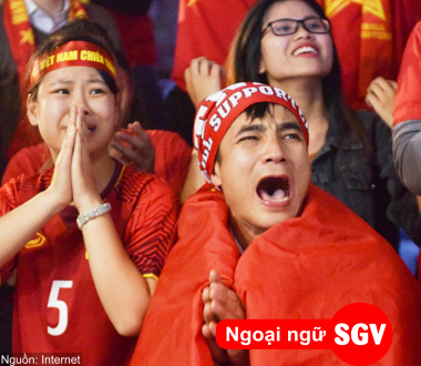 SGV, Fan cứng là gì