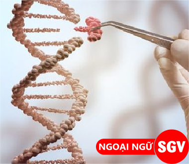 SGV, Genetic makeup là gì