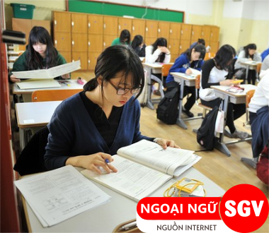SGV, Giáo dục tiếng Hàn là gì
