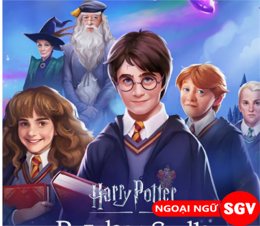 SGV, Harry Potter là gì