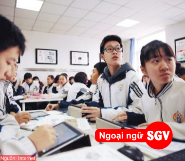 SGV, Học IELTS hay TOEIC để xin việc