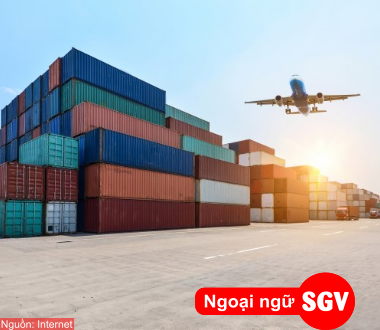 I.O.R trong xuất nhập khẩu, SGV