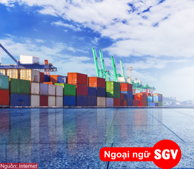 Kim ngạch xuất khẩu tiếng Anh là gì, SGV