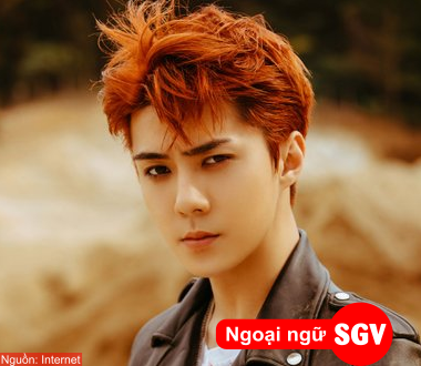 SGV, kpop là gì