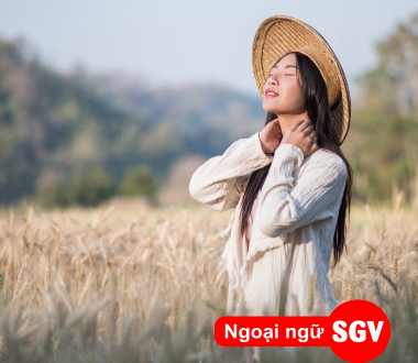 Làm nông nghiệp tại Hàn Quốc, SGV