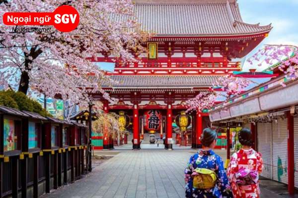 Lễ chùa đầu năm Hatsumode Nhật Bản