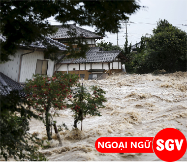 SGV, luc lụt tiếng Nhật là gì