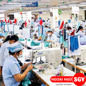 Máy kiểm vải tiếng anh là gì